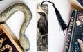 a black and white illustration of a bird perched on a branch, accompanied by a decorative snake and a book titled "Practice".