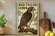 a framed illustration of a red-tailed hawk perched on a branch, with a wooden cutting board and a potted plant in the background.