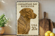A framed image of a Chesapeake Bay Retriever dog, with a postage stamp on the wall behind it.
