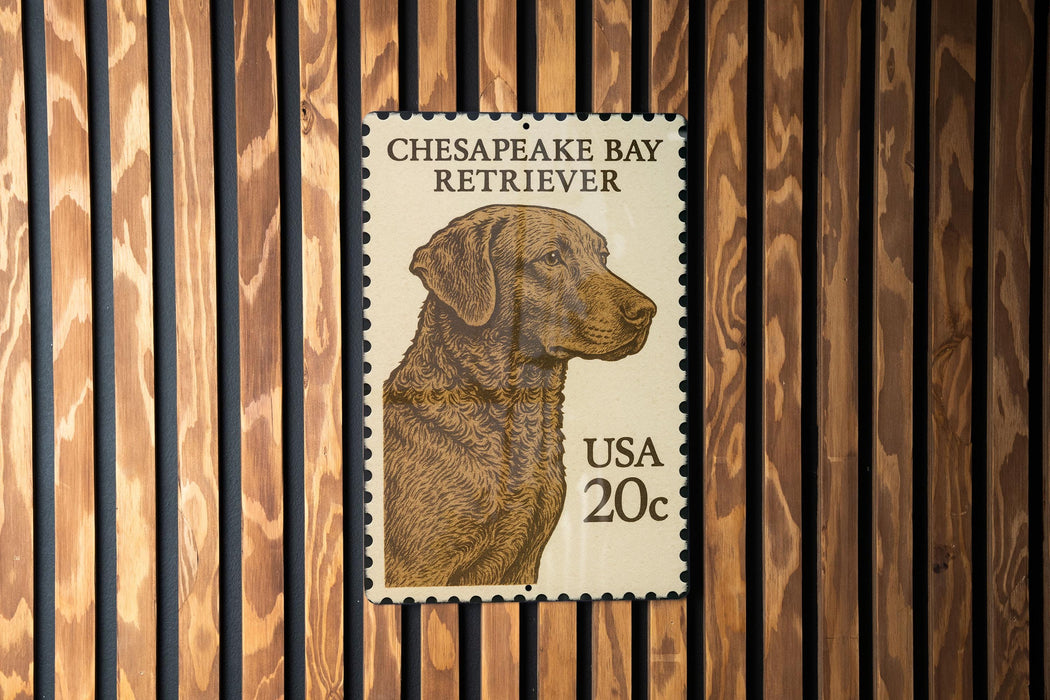 A postage stamp featuring a portrait of a Chesapeake Bay Retriever dog.