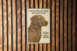 A postage stamp featuring a portrait of a Chesapeake Bay Retriever dog.