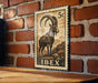 A 5c postage stamp featuring an illustration of a mountain goat, mounted on a brick wall.