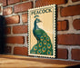 A framed illustration of a peacock is displayed on a brick wall.