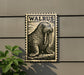 A walrus illustration on a wall, with the word "WALRUS" written above it.
