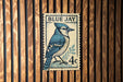 A postage stamp featuring a blue jay bird is displayed on a wooden wall.