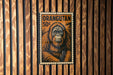 an illustration of an orangutan, which is a type of primate, mounted on a wooden wall.