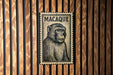 a wooden wall with a framed stamp-like artwork depicting a monkey.