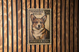 A wooden wall with a vintage-style postage stamp featuring a corgi dog.