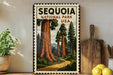 A framed vintage-style poster of Sequoia National Park in the USA, featuring a scenic illustration of towering sequoia trees and a winding path through the forest.