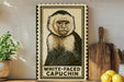 a framed illustration of a white-faced capuchin monkey, which is a type of primate, placed on a shelf next to a wooden cutting board and some lemons.