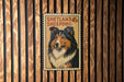 A poster of a Shetland Sheepdog is displayed on a wooden wall.