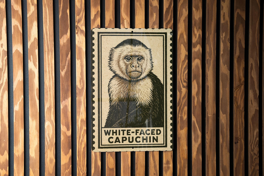 A poster of a white-faced capuchin monkey is displayed on a wooden wall.