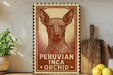 a wooden sign with a Peruvian Inca orchid illustration, placed on a wooden surface next to a potted plant and a wooden cutting board.