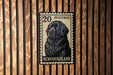 A black dog is depicted on a New England postage stamp, which is affixed to a wooden wall.