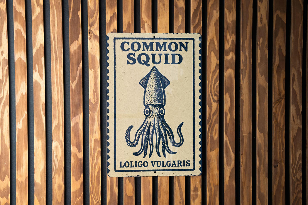 a sign with the text "Common Squid" and "Loligo Vulzaris" on it, which is mounted on a wooden wall.