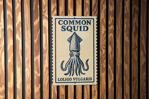 a sign with the text "Common Squid" and "Loligo Vulzaris" on it, which is mounted on a wooden wall.