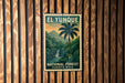 A vintage-style poster of the National Forest in Puerto Rico, featuring a palm tree and a waterfall, is displayed on a wooden wall.