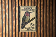 A 5c postage stamp featuring a colorful illustration of a hummingbird, mounted on a wooden wall.