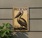 a large pelican, which is a type of seabird, standing on a rock.