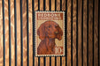 A vintage-style stamp featuring a redcoonhound dog, with the text "REDBONE COONHOUND" and the denomination "10¢".