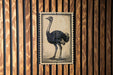 a large, detailed illustration of an ostrich, which is the central focus of the image.