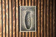 a sea cucumber on a wooden wall.