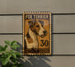 a fox terrier dog, which is depicted in a wooden frame with the number 30 on it. The dog is shown in profile, and the frame is mounted on a wall.