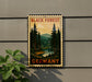 A vintage-style postage stamp depicting a forest scene with pine trees and a river, mounted on a wall.