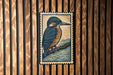 A framed illustration of a blue and brown bird, possibly a kingfisher, perched on a branch against a wooden background.