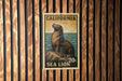 A California Sea Lion postage stamp is displayed on a wooden wall.