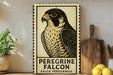 a framed poster of a peregrine falcon, with a wooden cutting board and a potted plant to the side.