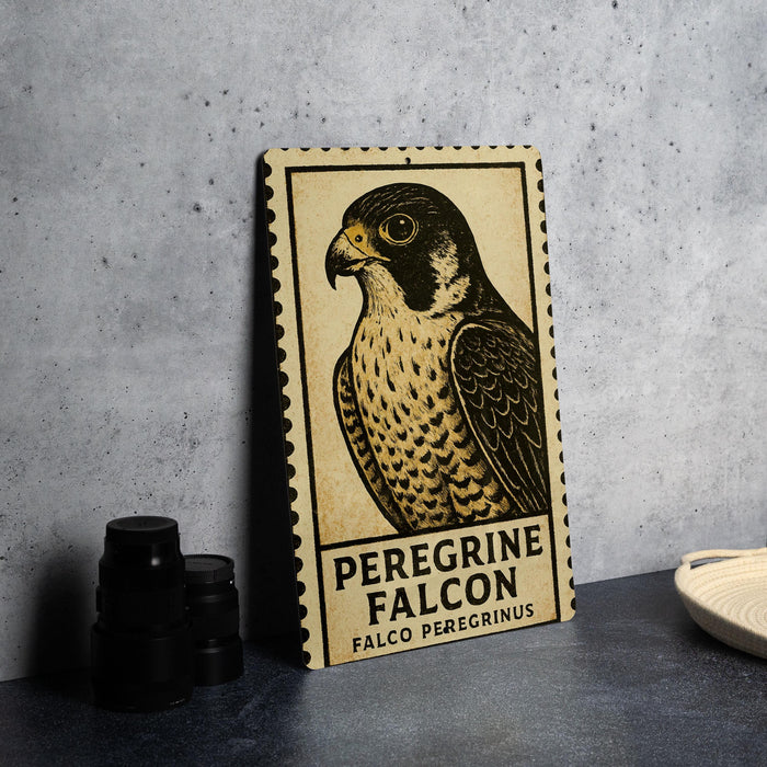 A framed poster of a peregrine falcon is displayed on a wall, with a stack of black camera lenses and a white dish visible to the side.