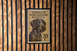 A German Wirehaired Pointer dog is depicted on a postage stamp, which is affixed to a wooden wall.