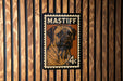 A stamp-like image of a mastiff dog, with the text "MASTIFF" prominently displayed.