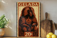 A metal sign with a monkey illustration and the text "GELADA 20c" is displayed on a shelf, accompanied by a wooden cutting board and a potted plant.