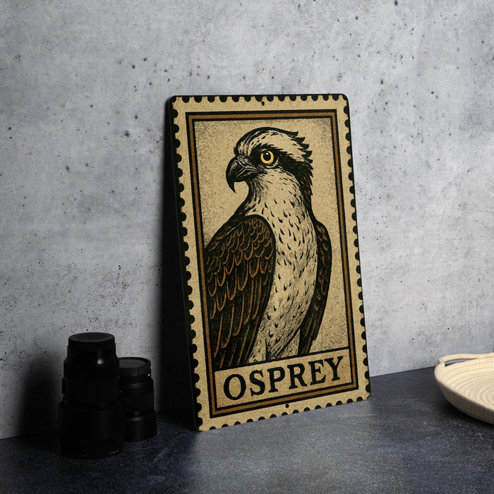 a framed illustration of an Osprey, a bird of prey, on a wall.