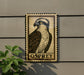 a framed illustration of an Osprey, a bird of prey, mounted on a wall.