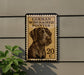 a German Wirehaired Pointer dog, which is depicted in a postage stamp-like frame.