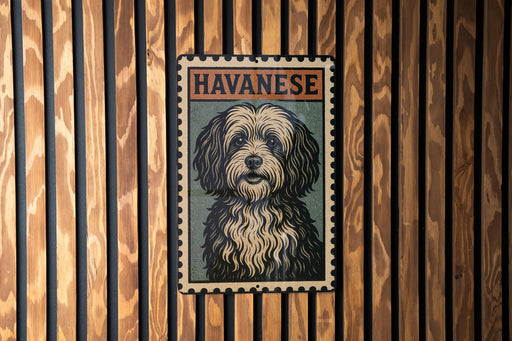 A framed poster of a dog with the word "Havanese" printed on it, displayed on a wooden wall.