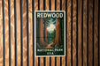 A vintage-style poster for Redwood National Park in the United States, featuring a scenic image of towering redwood trees.