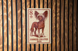 A Chinese crested dog is depicted on a postage stamp-like sign, which is mounted on a wooden wall.