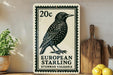 A vintage-style 20 cent European starling postage stamp is displayed on a wooden surface, with a potted plant and kitchen utensils visible in the background.