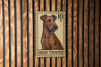 an Irish Terrier dog, which is depicted in a postage stamp-like frame.