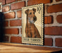an Irish Terrier, a breed of dog known for its distinctive appearance and friendly nature.