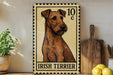a framed illustration of an Irish Terrier dog, with a stamp-like border and text that reads "Irish Terrier".