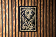 A framed image of a Dalmatian dog is displayed on a wooden wall.