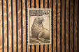 A postage stamp featuring a sea lion is displayed on a wooden wall.
