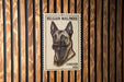 A postage stamp featuring a close-up of a Belgian Malinois dog, with the text "Belgian Malinois" and "Forever USA" printed on it.