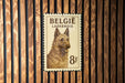 A metal postage stamp featuring a dog's head, with the text "Belgie Lækenois 8F" printed on it.