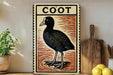 a vintage-style sign with a black and white illustration of a bird, possibly a coot, standing on a wooden surface.